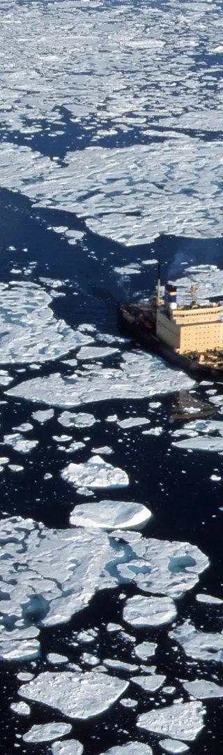 Kapitän Khlebnikov von oben